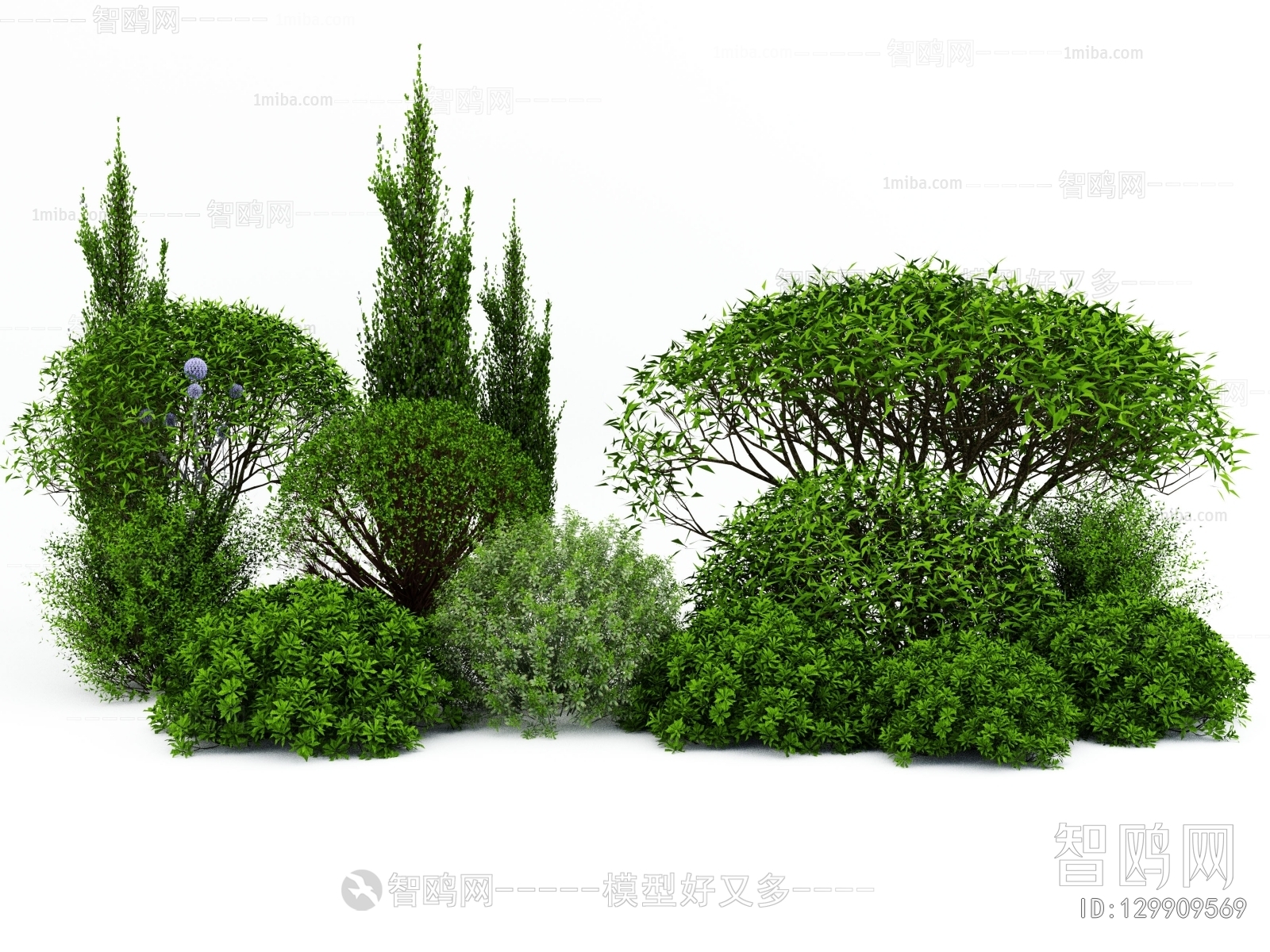 Modern Shrubbery