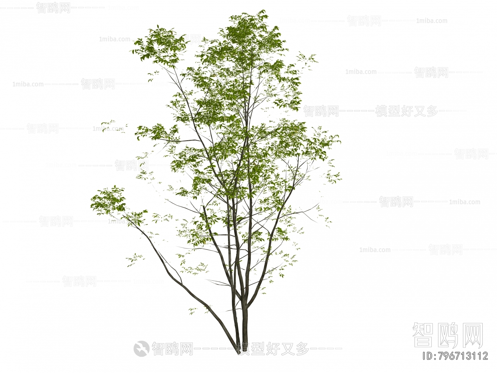 Modern Tree/shrub/grass