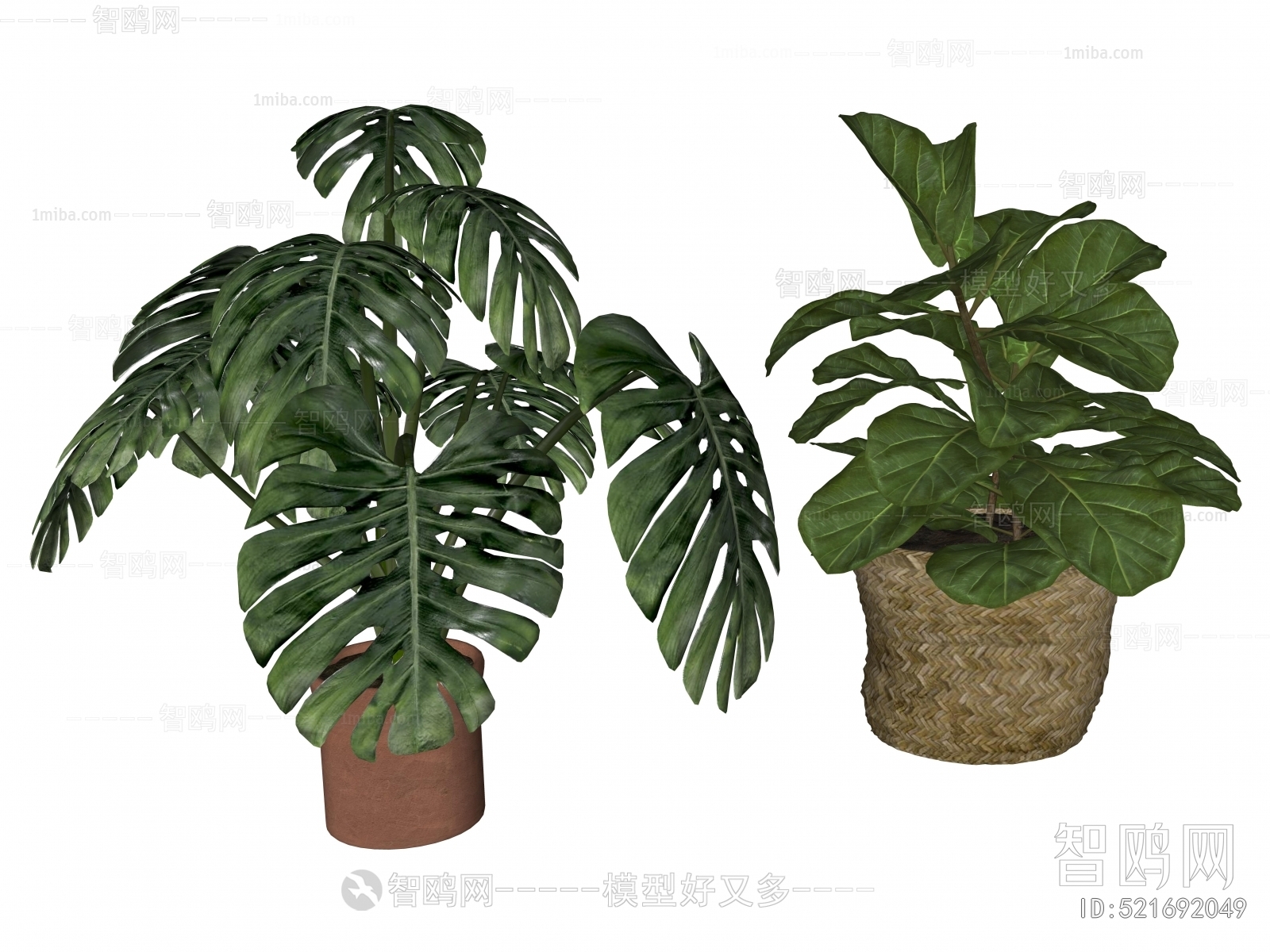 Modern Potted Green Plant