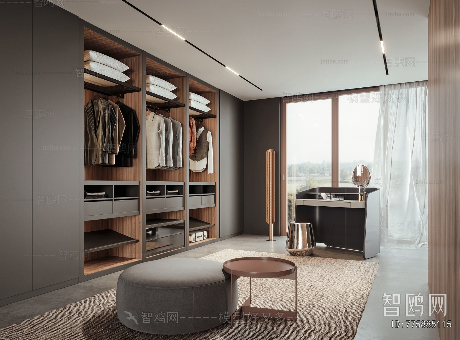 Modern Clothes Storage Area