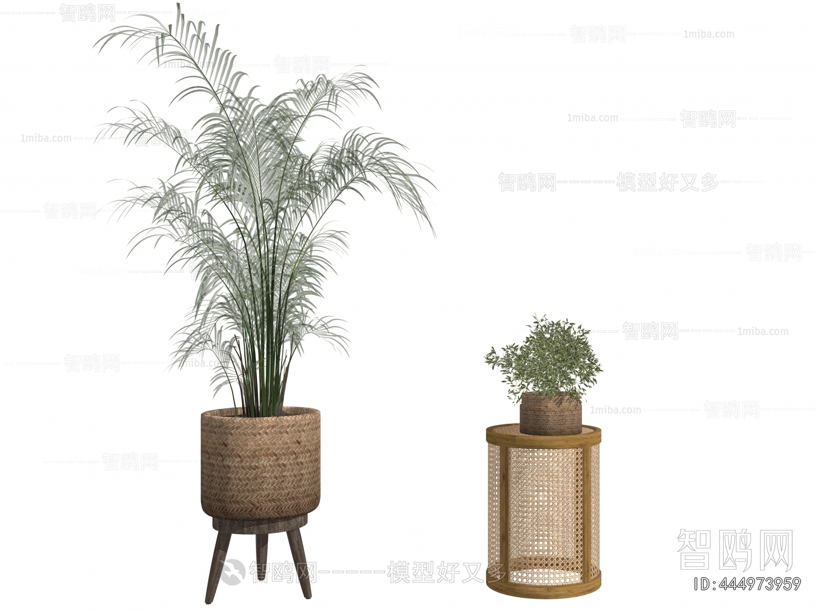 Modern Ground Green Plant Potted Plants