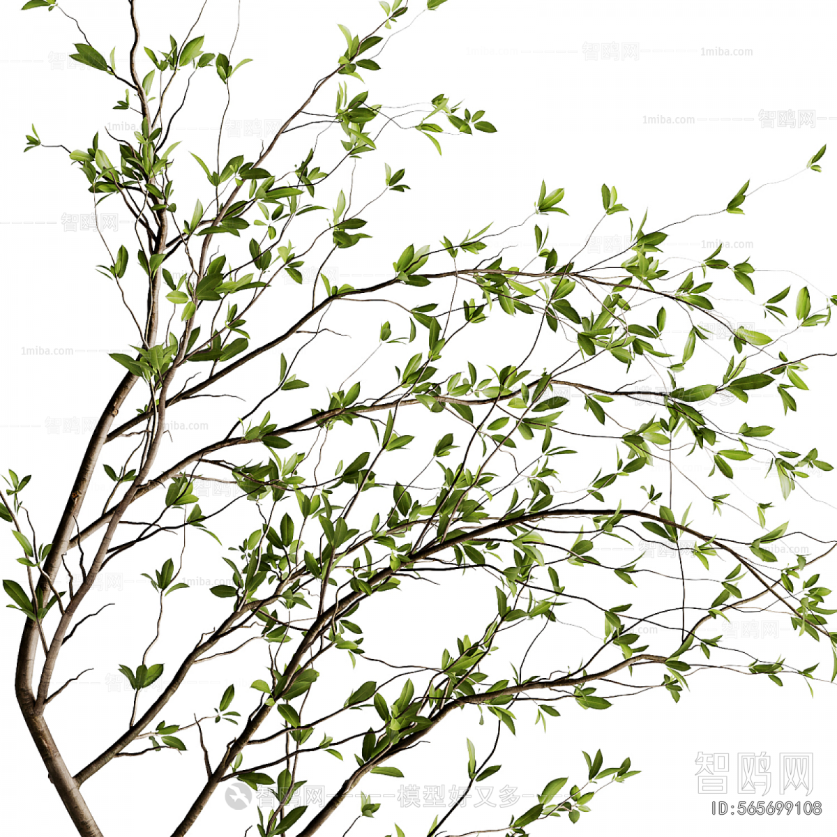 Wabi-sabi Style Flowers