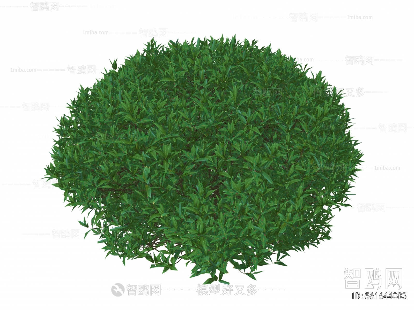 Modern Shrubbery