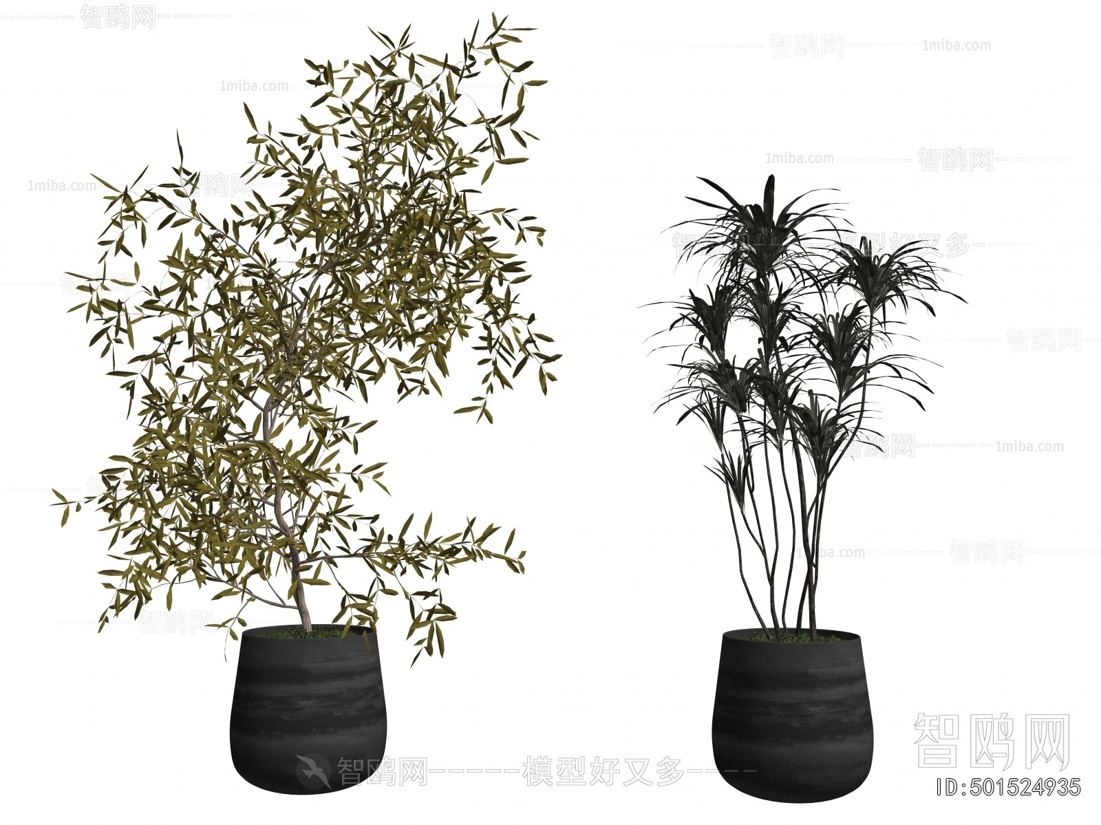 Modern Ground Green Plant Potted Plants