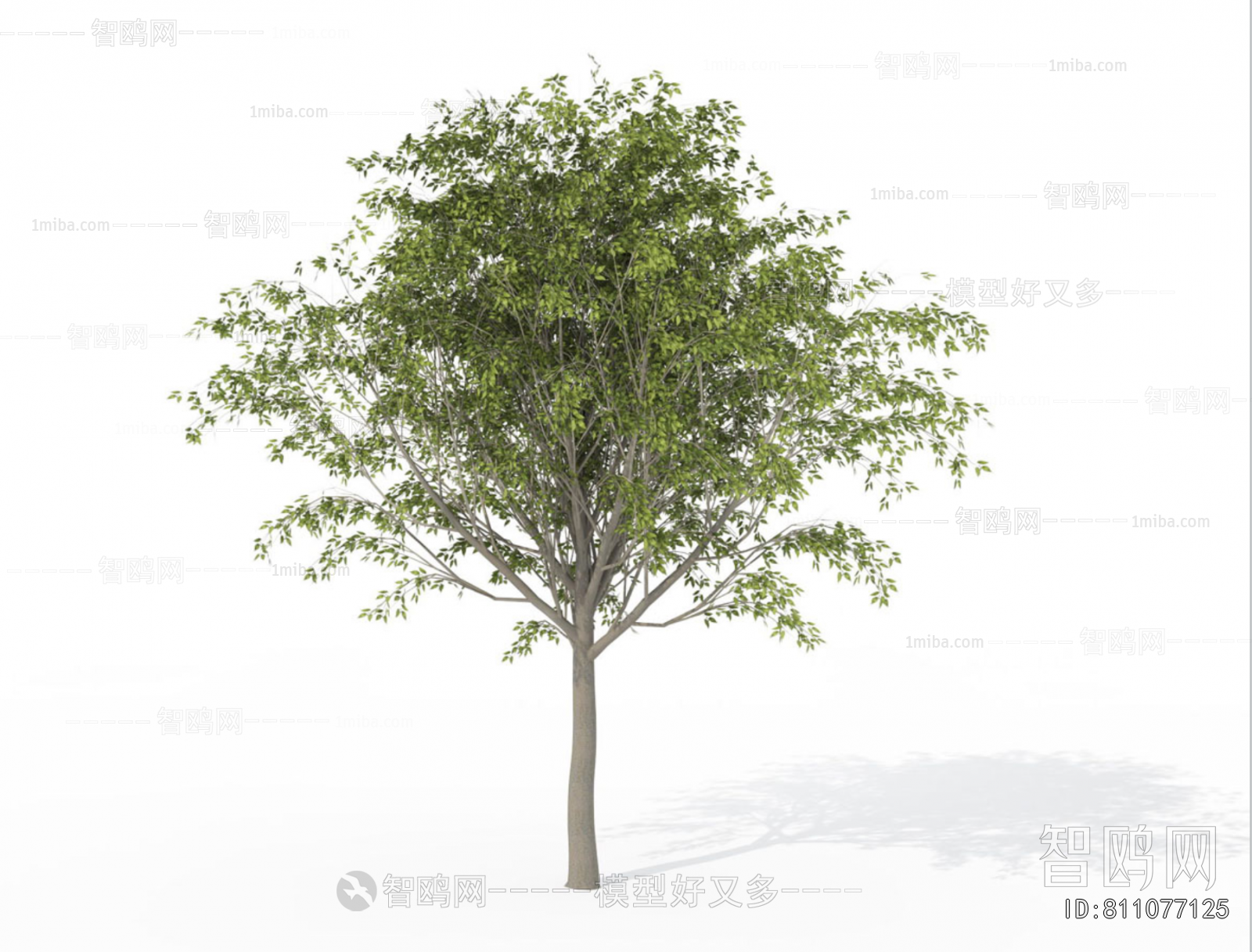 Modern Tree