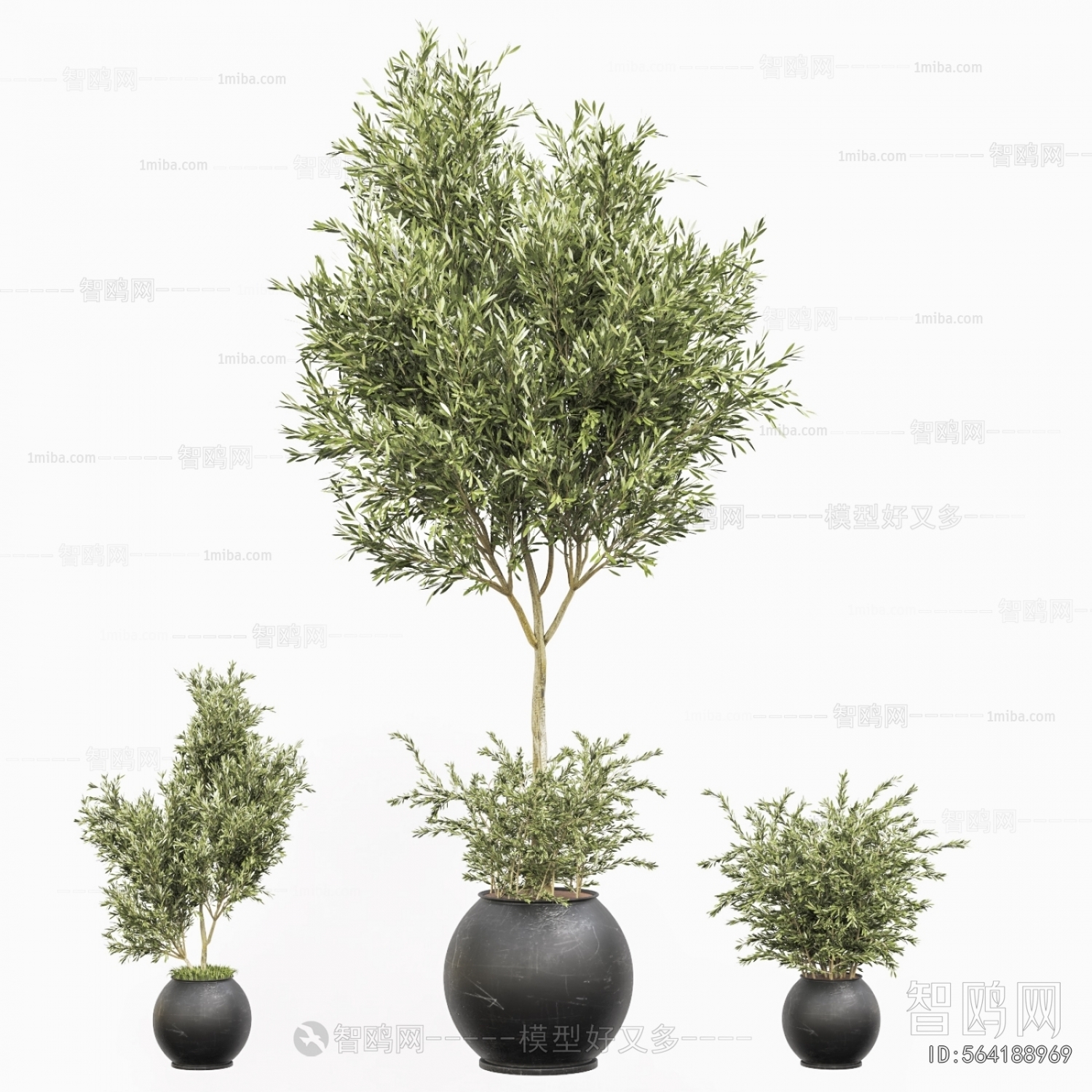 Modern Ground Green Plant Potted Plants