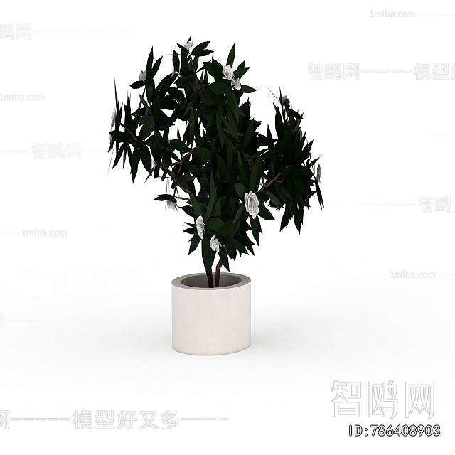 Modern Ground Green Plant Potted Plants