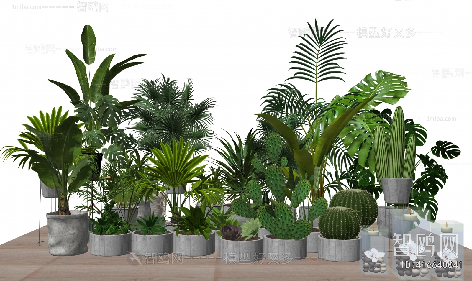 Modern Ground Green Plant Potted Plants