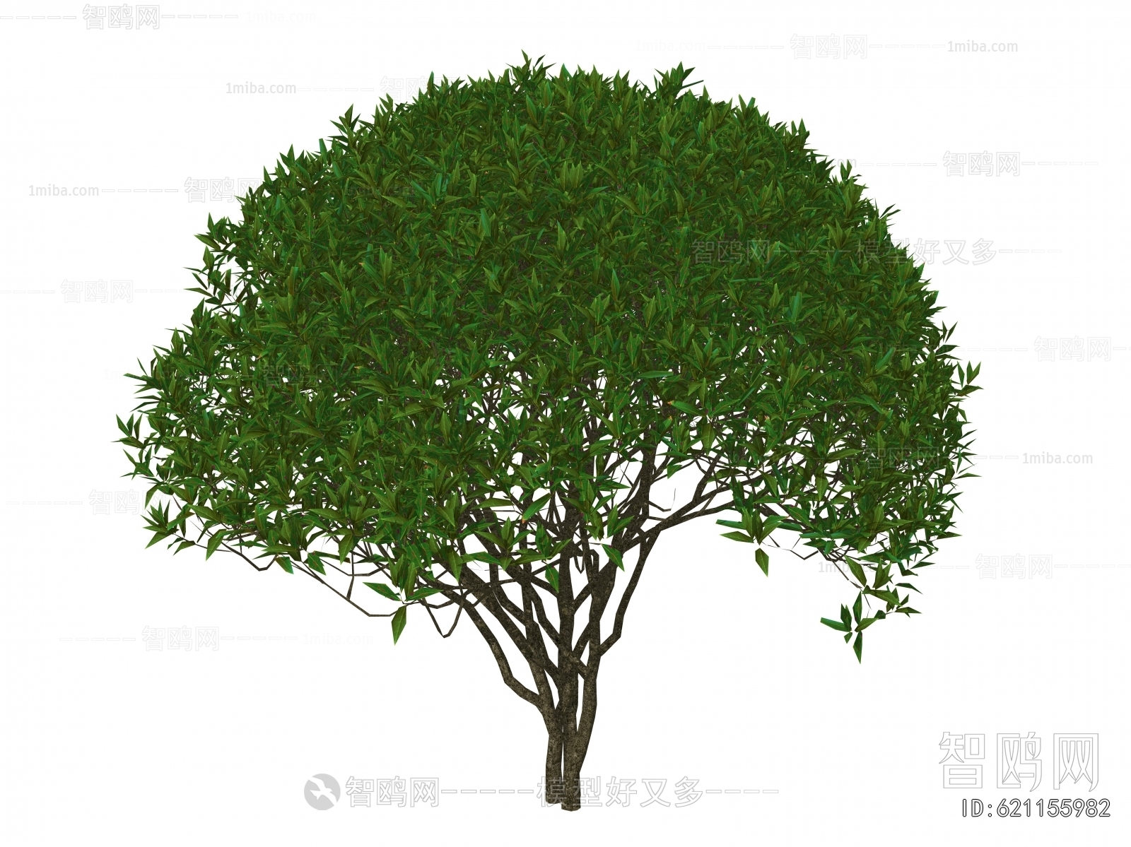 Modern Tree