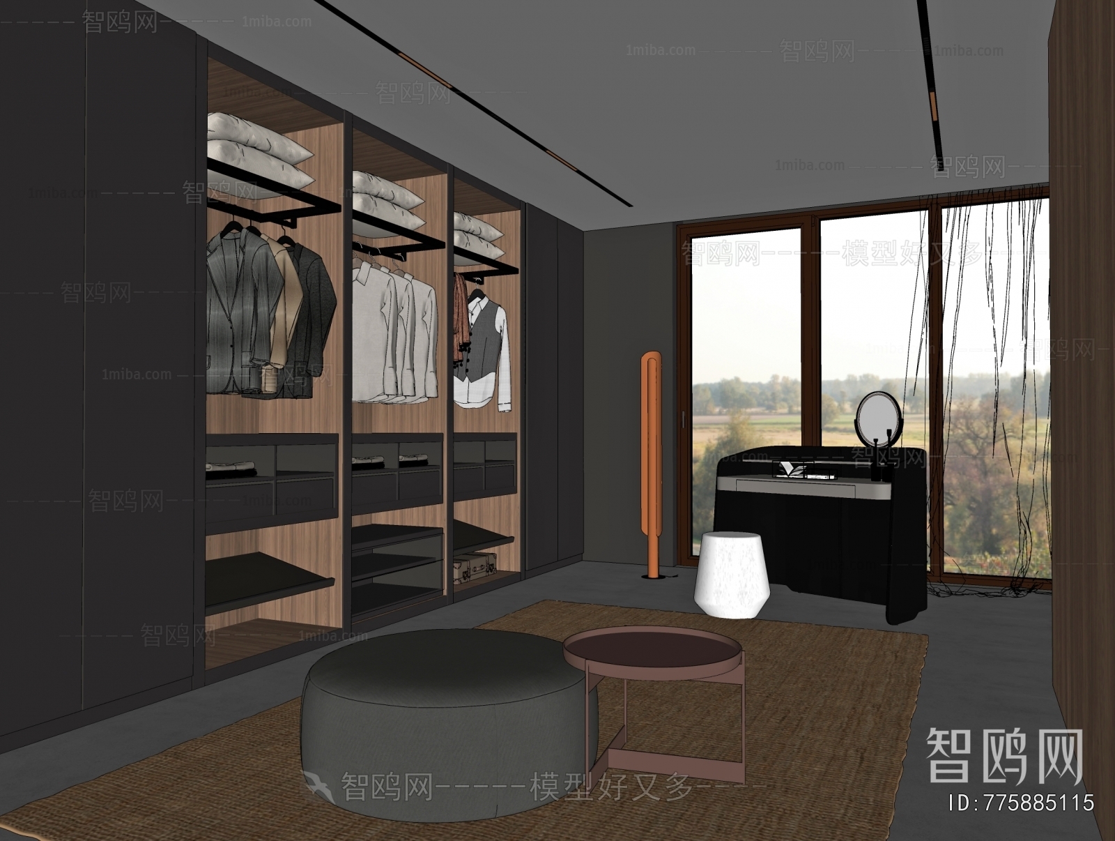 Modern Clothes Storage Area