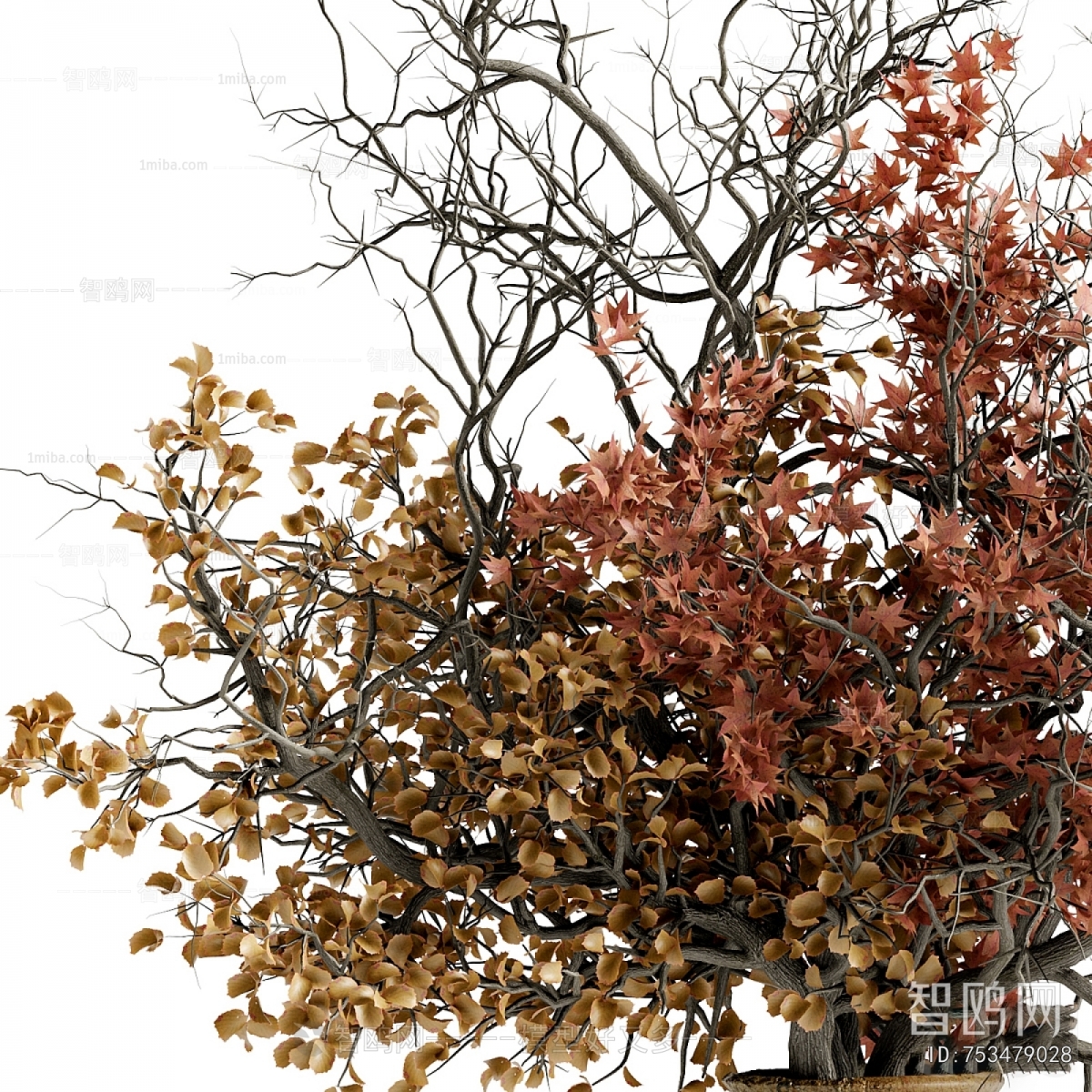 Wabi-sabi Style Dried Branch