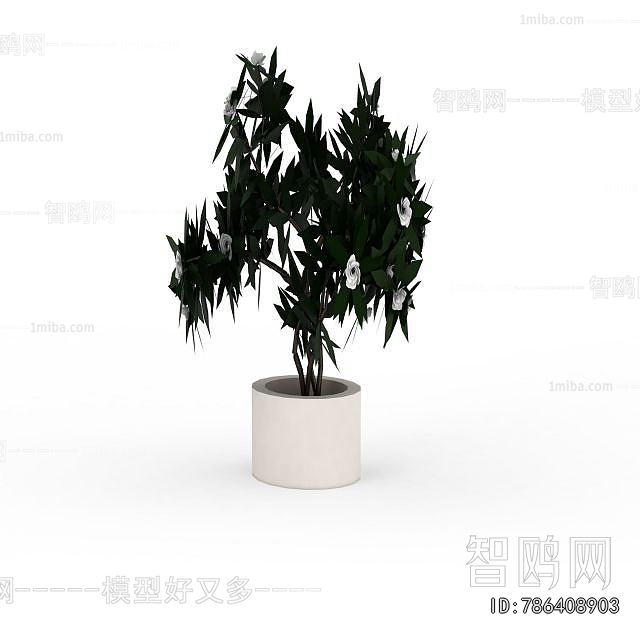 Modern Ground Green Plant Potted Plants