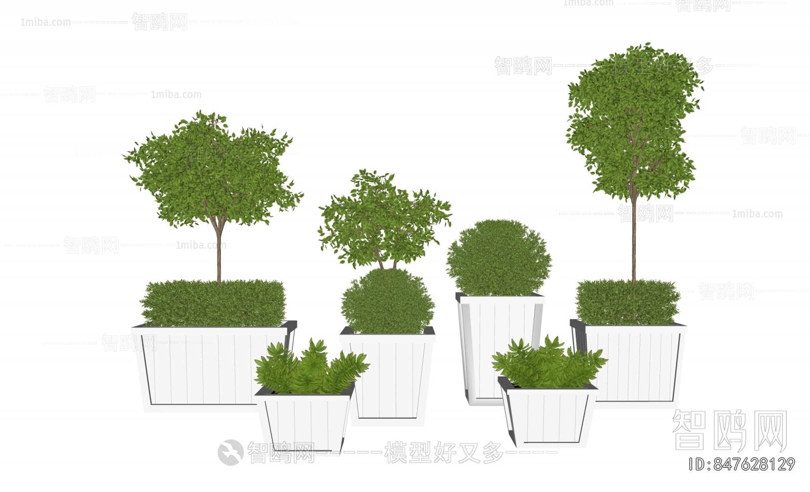 Modern Ground Green Plant Potted Plants