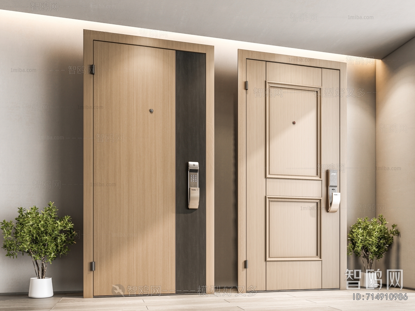 Modern Entrance Door