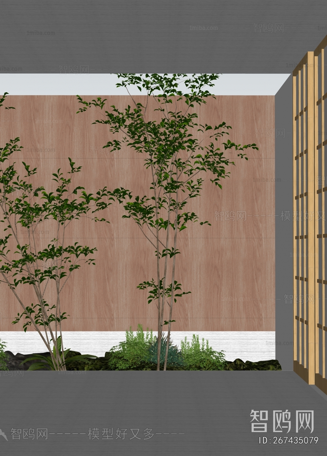 Modern Plant Landscaping