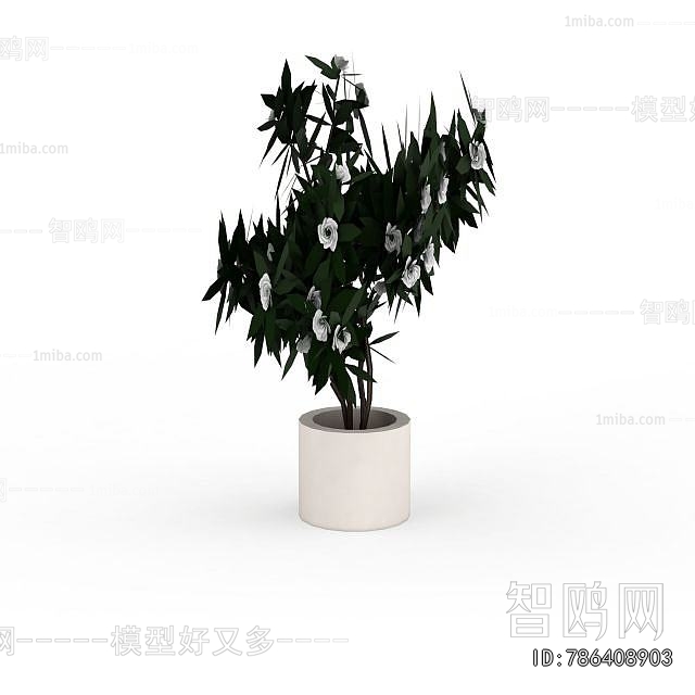 Modern Ground Green Plant Potted Plants