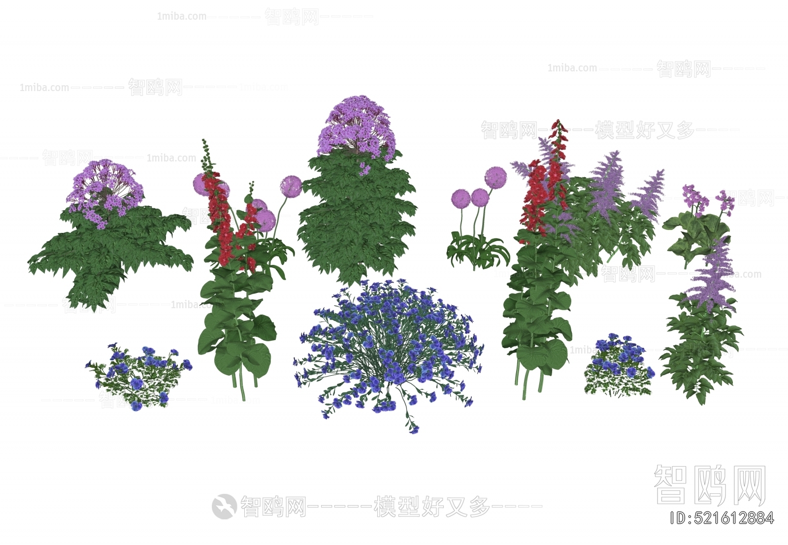 Modern Flowers And Grass