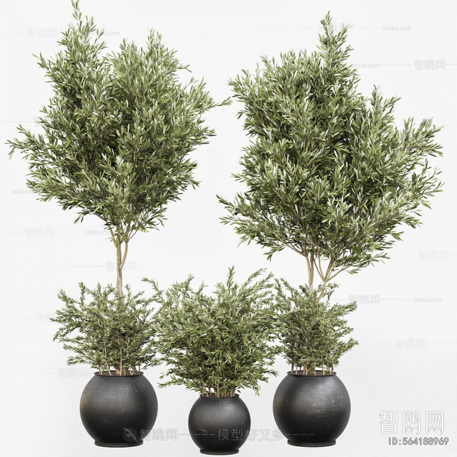 Modern Ground Green Plant Potted Plants