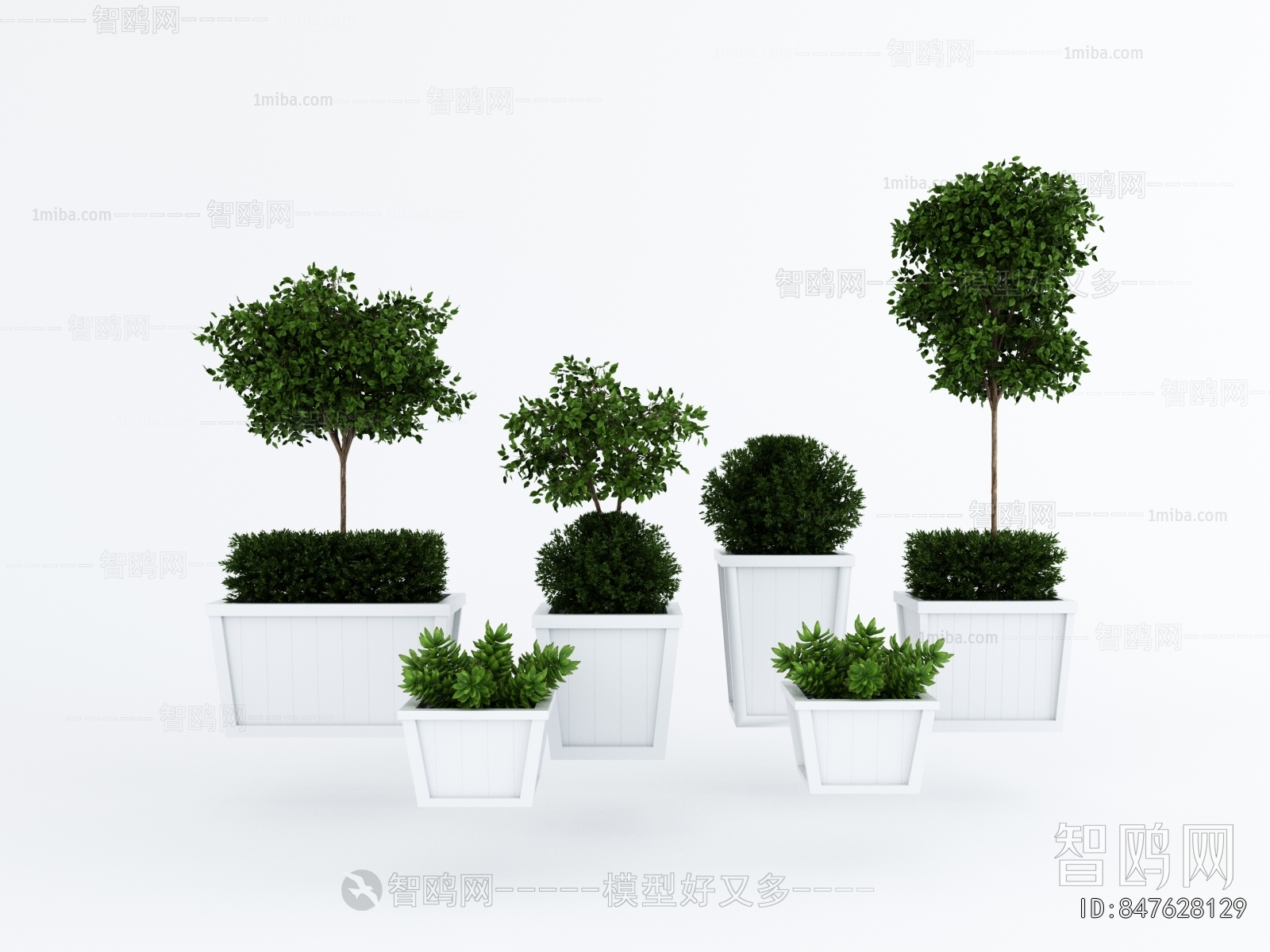 Modern Ground Green Plant Potted Plants