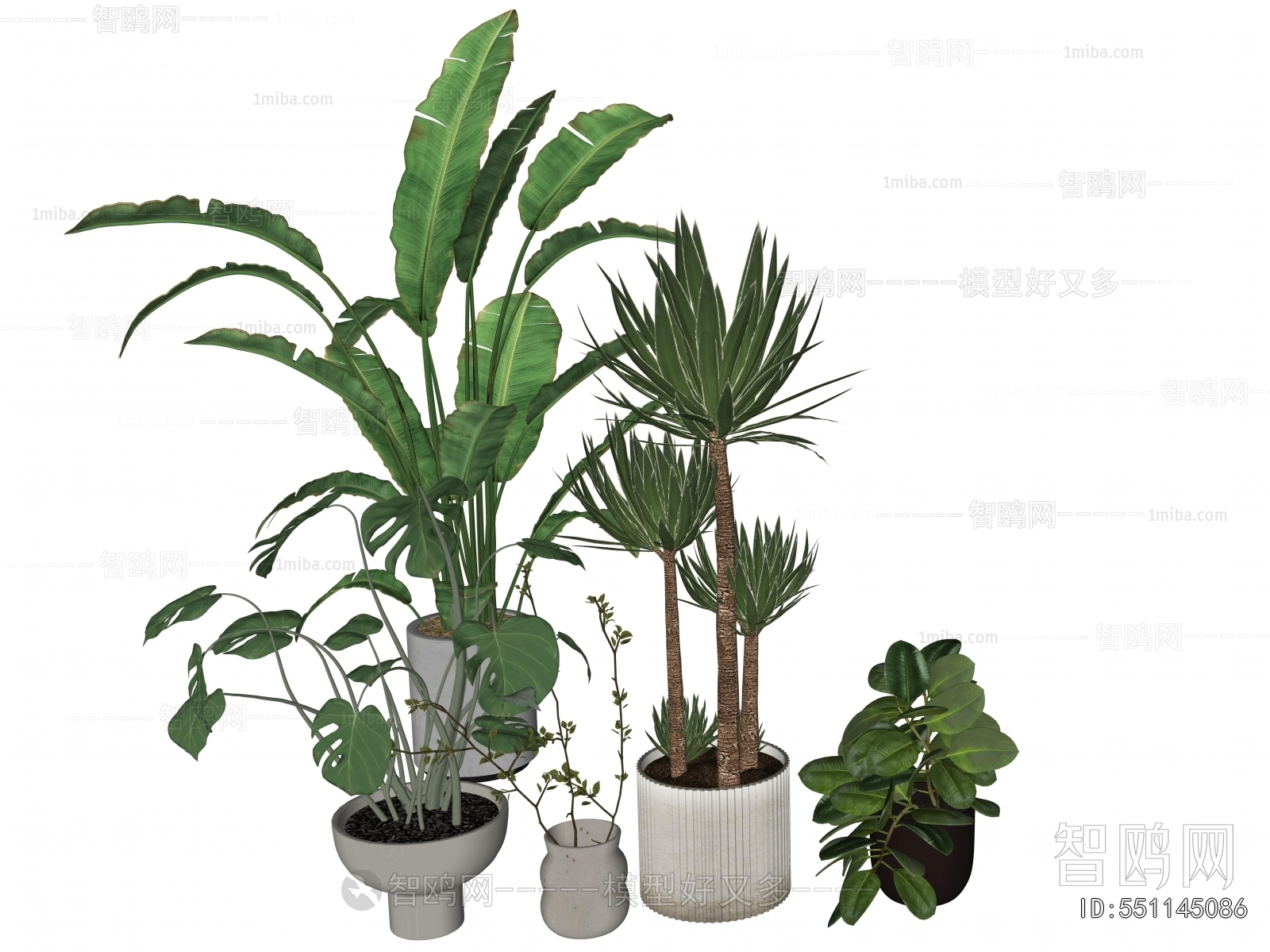 Modern Ground Green Plant Potted Plants