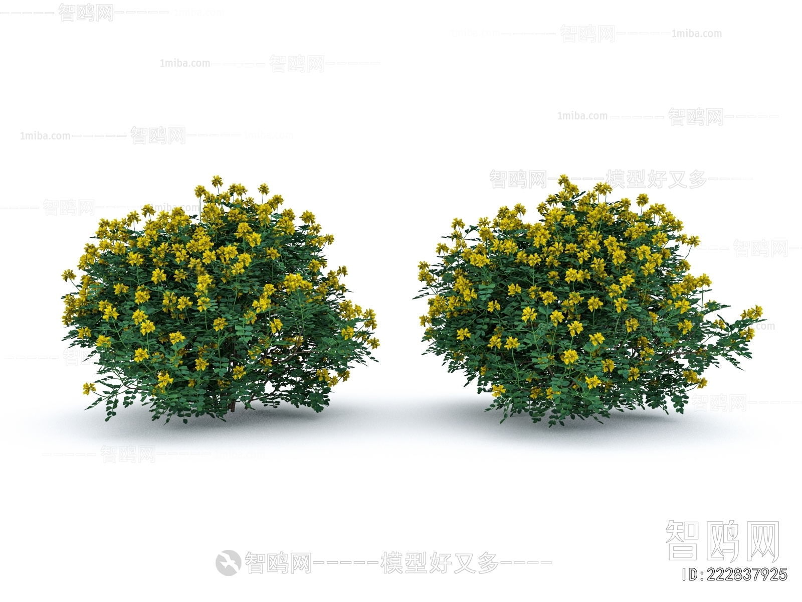 Modern Shrubbery