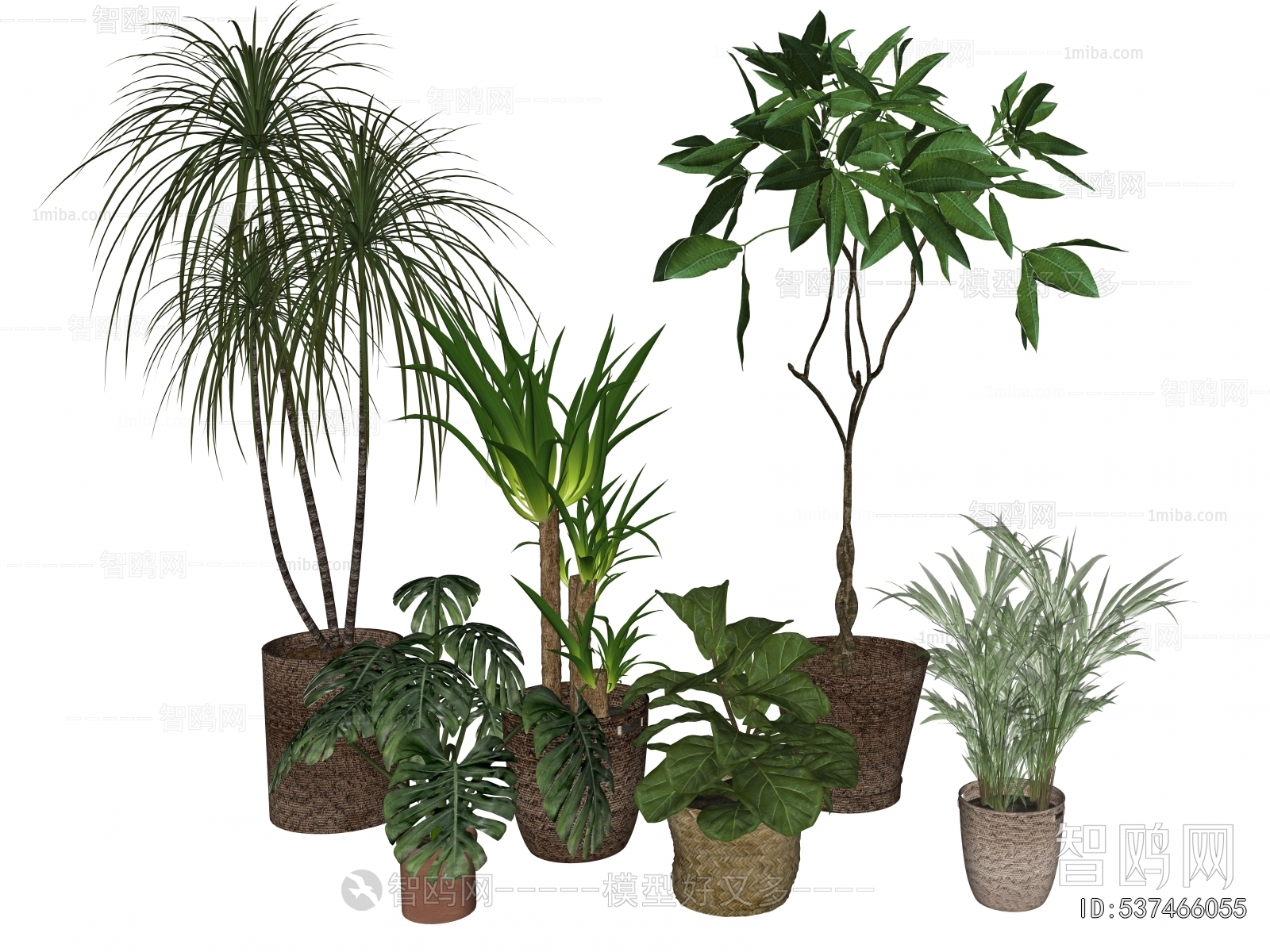 Modern Ground Green Plant Potted Plants