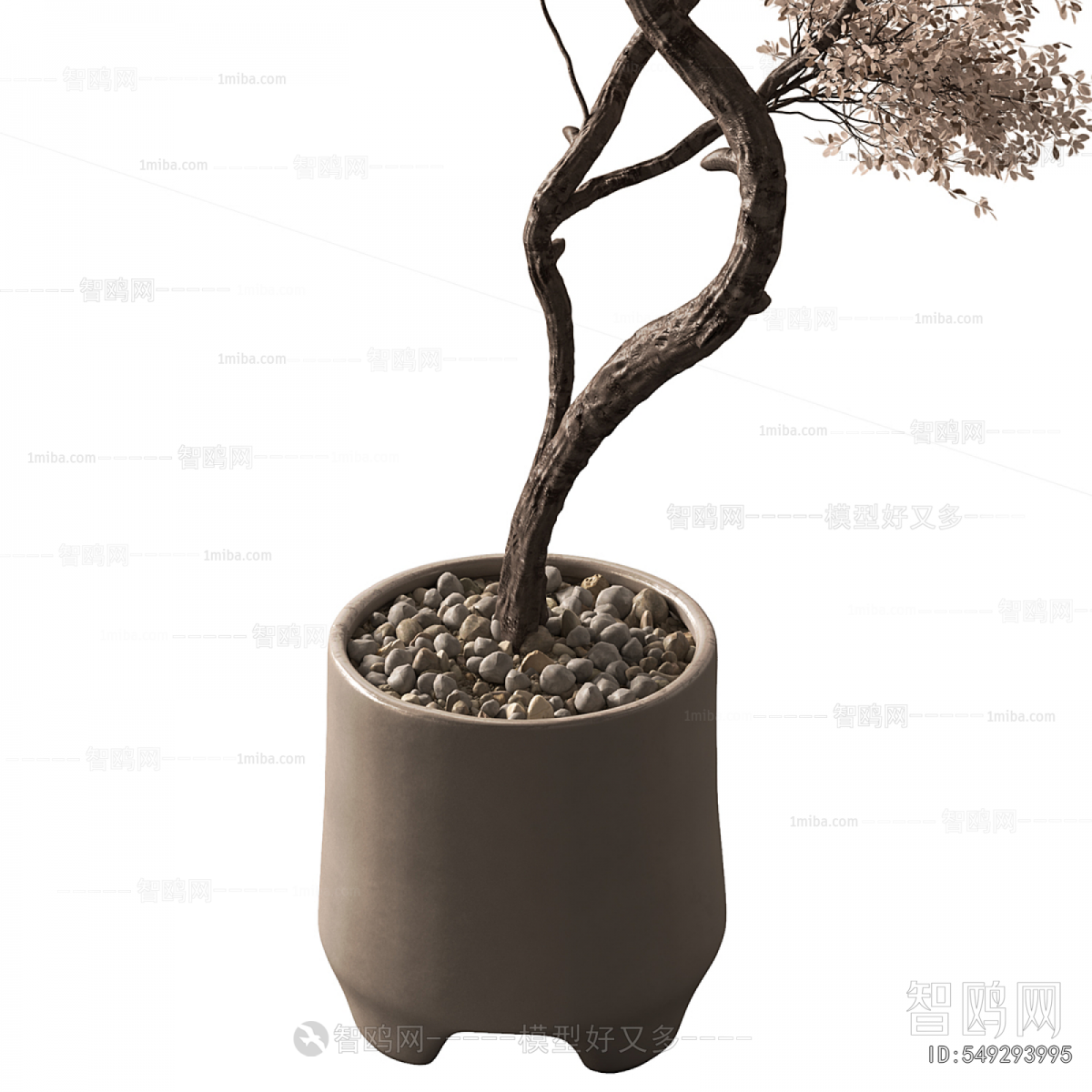 Modern Ground Green Plant Potted Plants