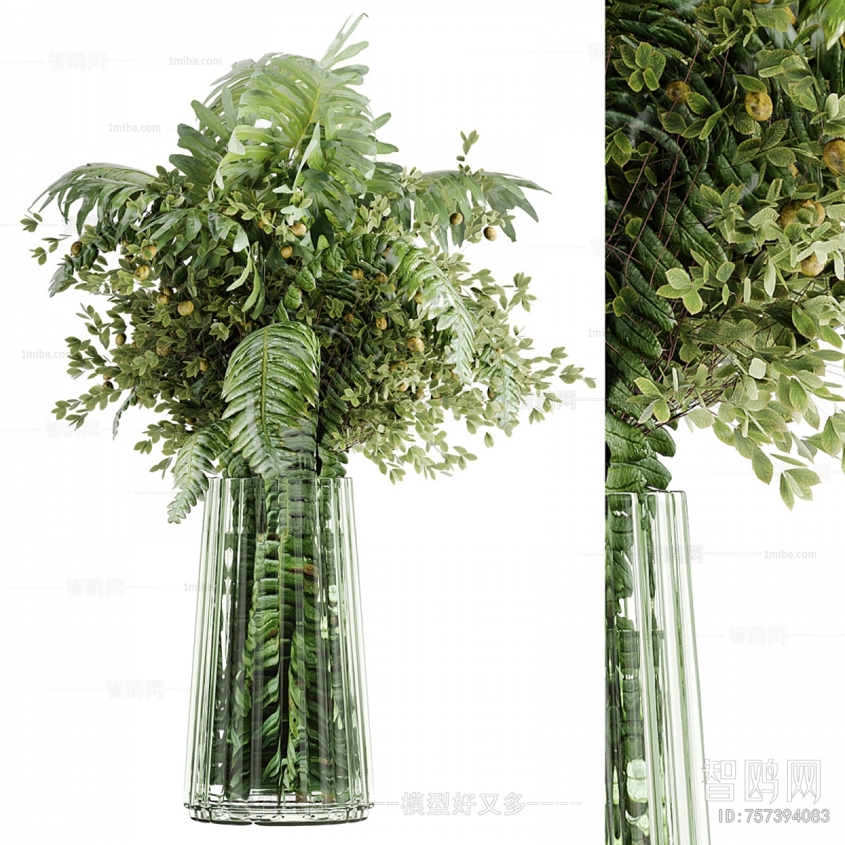 Modern Aquatic Green Plant