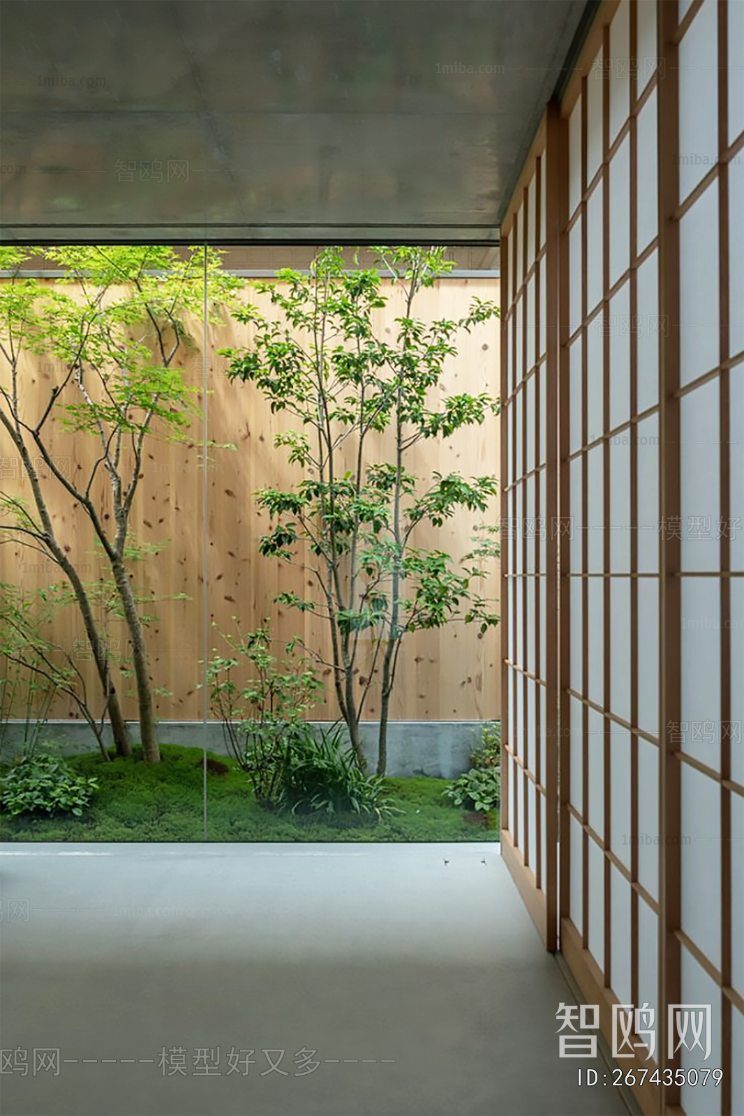 Modern Plant Landscaping