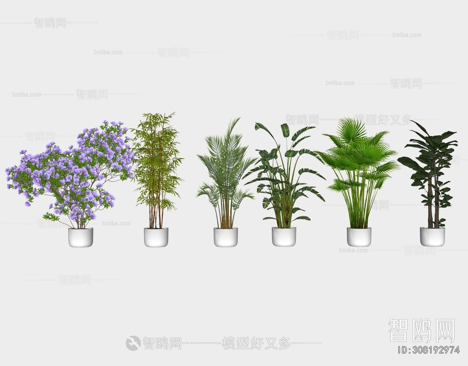 Modern Ground Green Plant Potted Plants