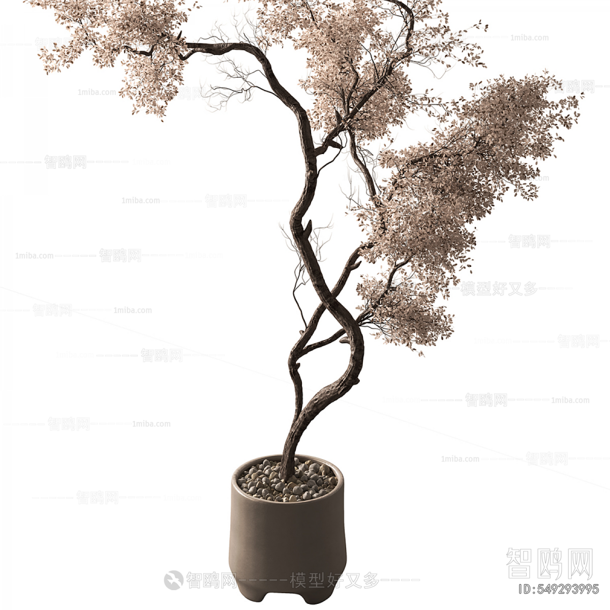 Modern Ground Green Plant Potted Plants