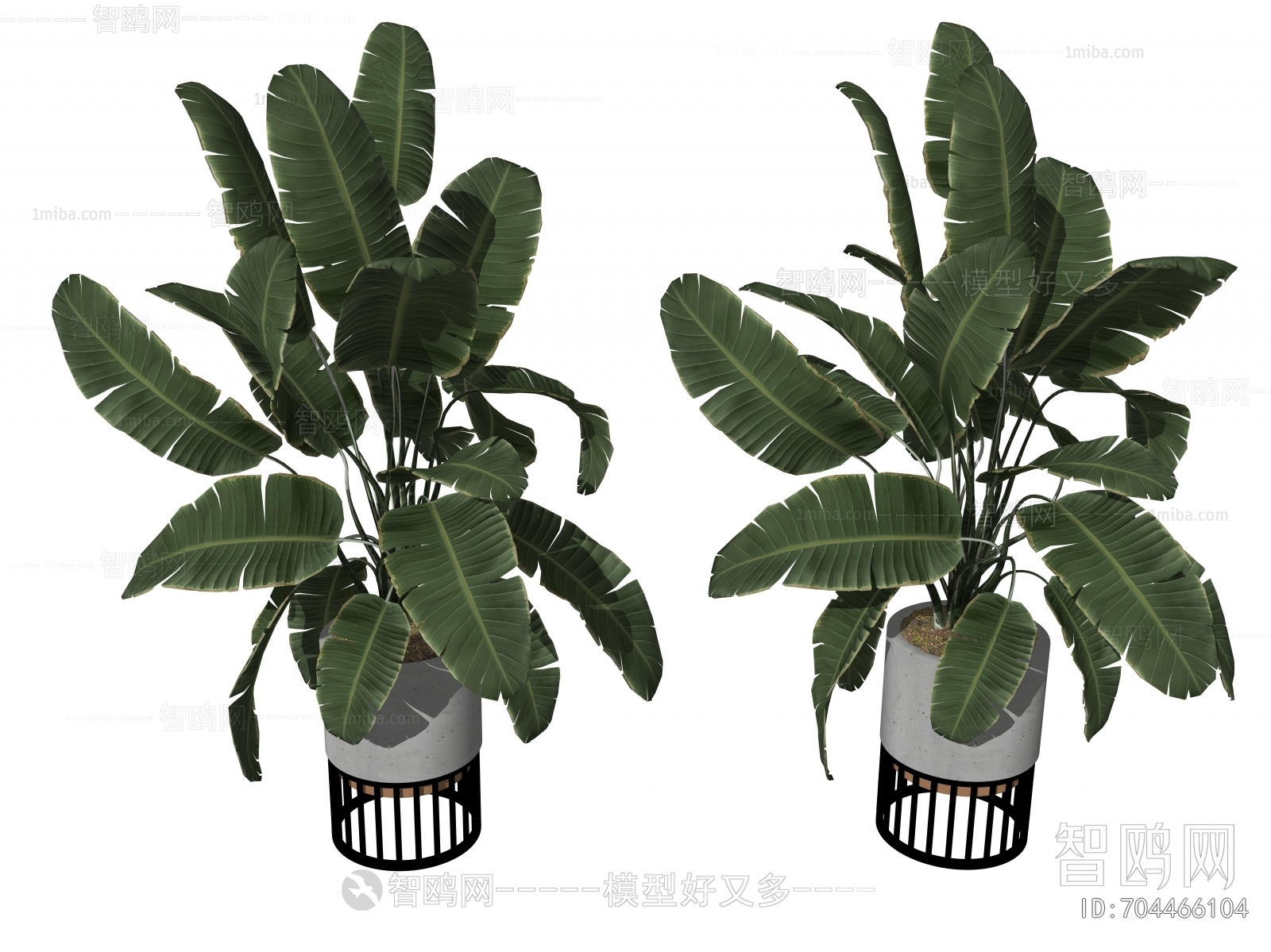 Modern Ground Green Plant Potted Plants