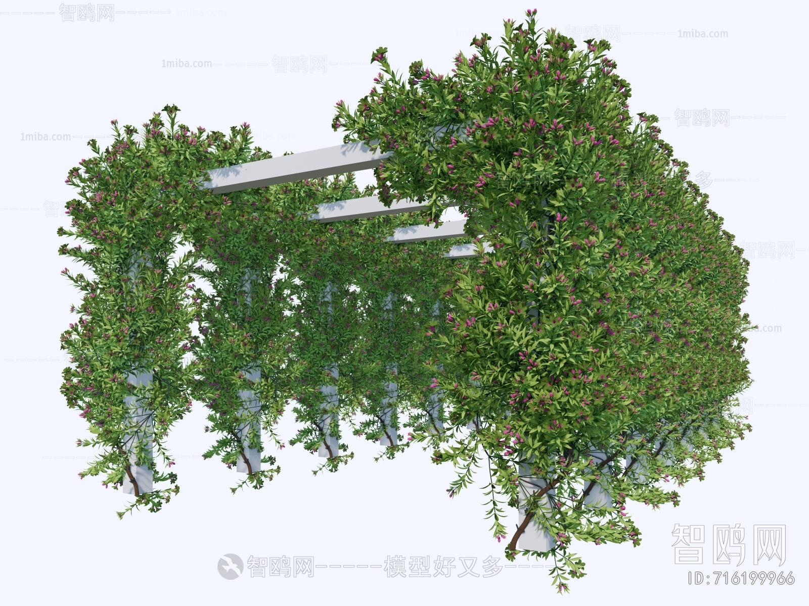 Modern Gallery Frame