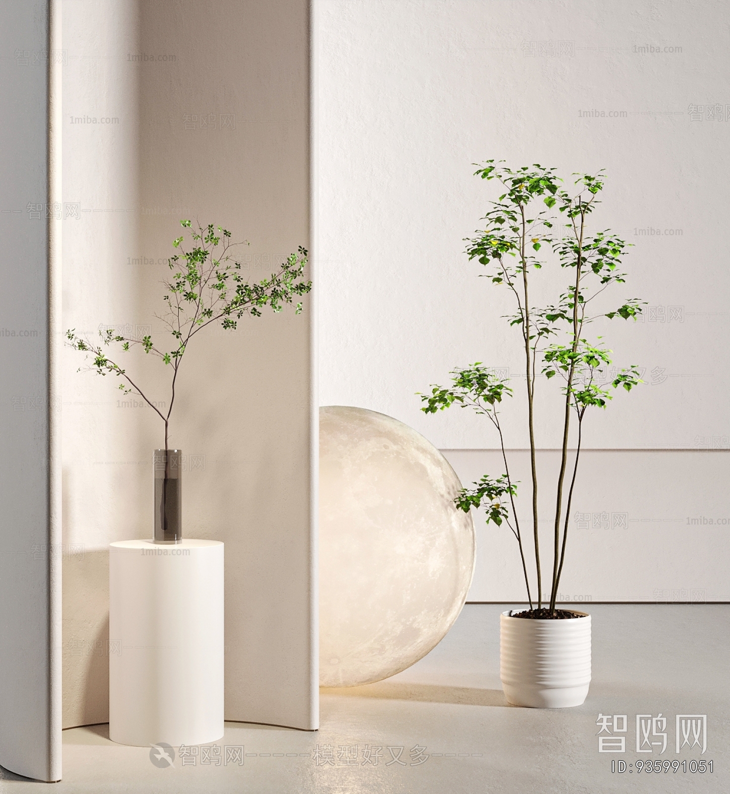 Modern Ground Green Plant Potted Plants