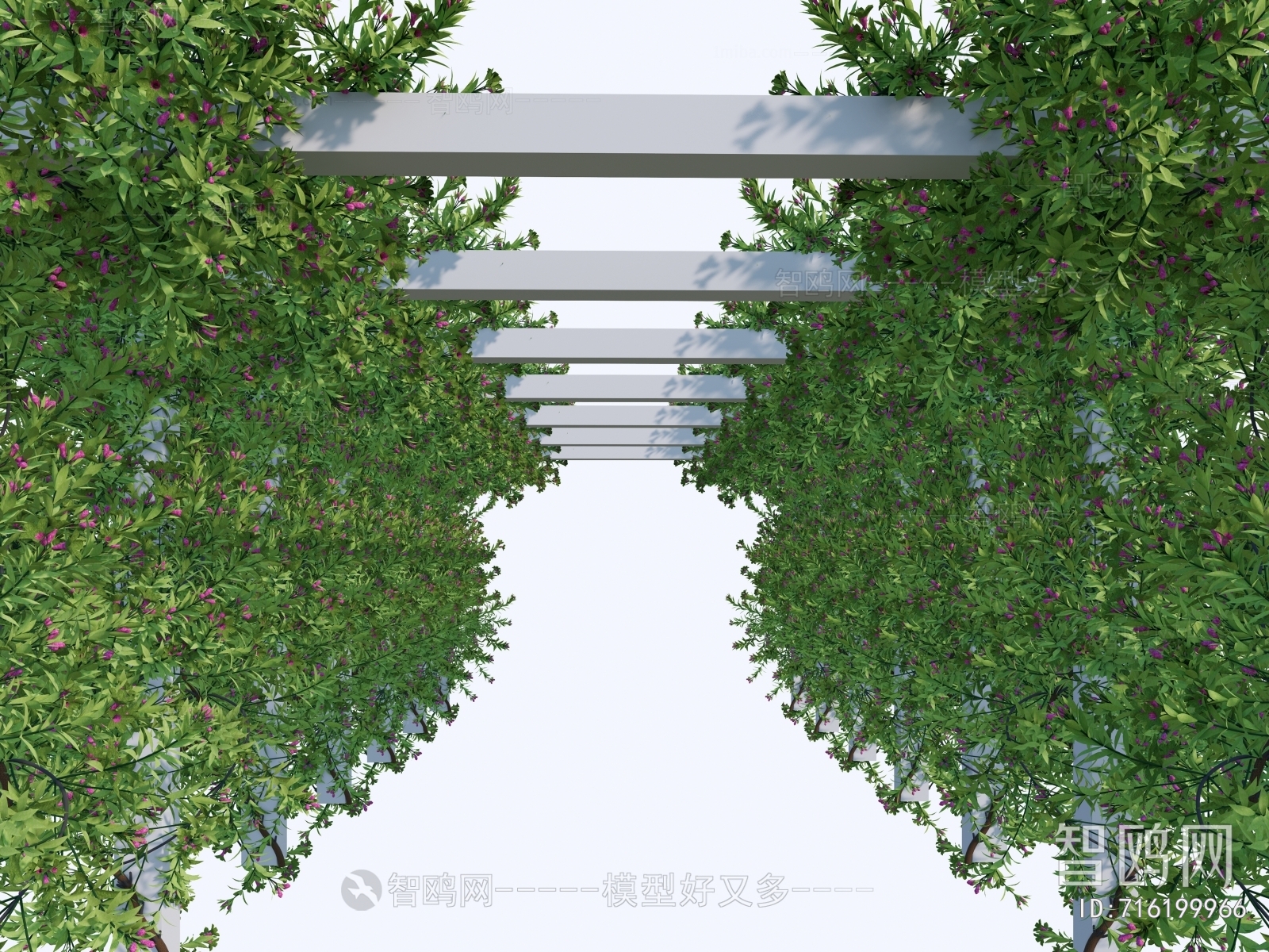 Modern Gallery Frame