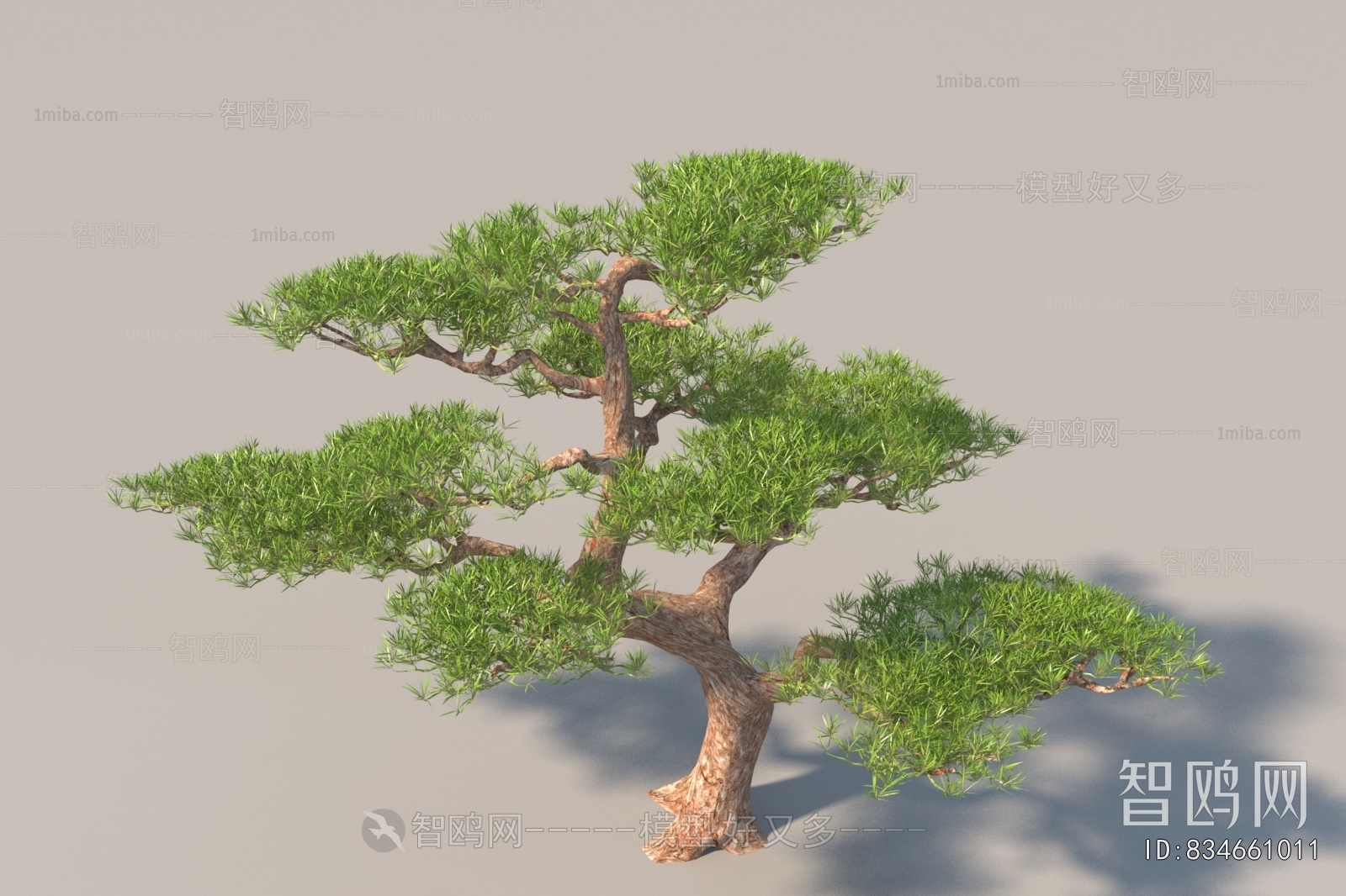Modern Tree