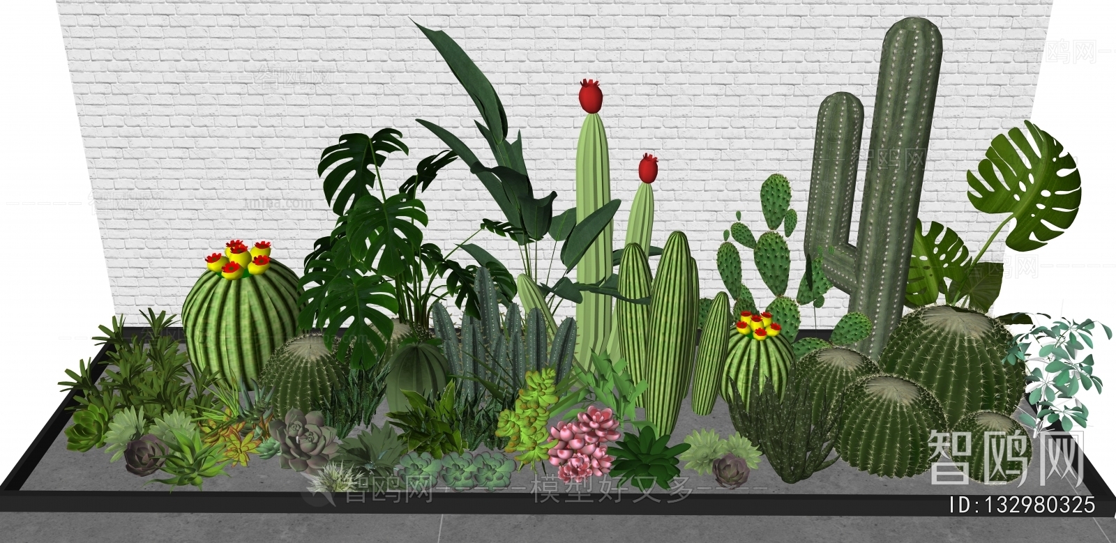 Modern Plant Landscaping