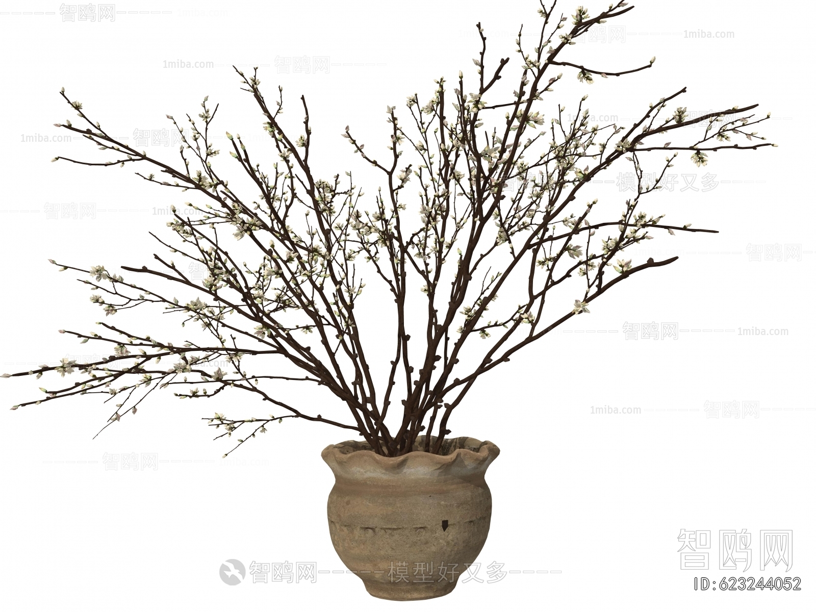 Wabi-sabi Style Potted Green Plant