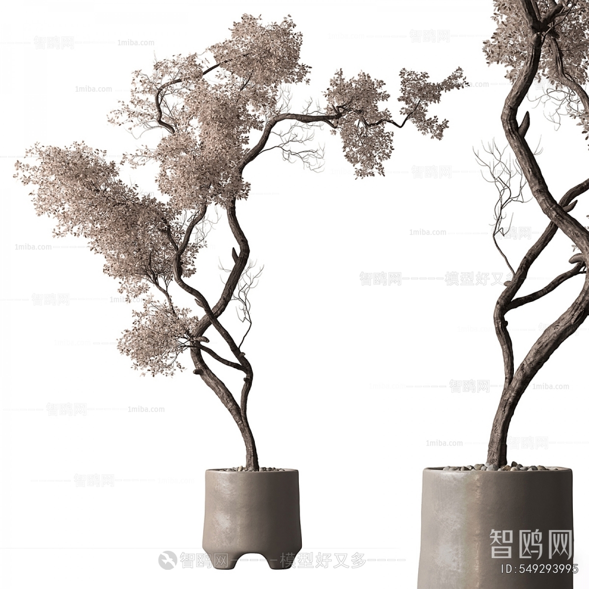 Modern Ground Green Plant Potted Plants