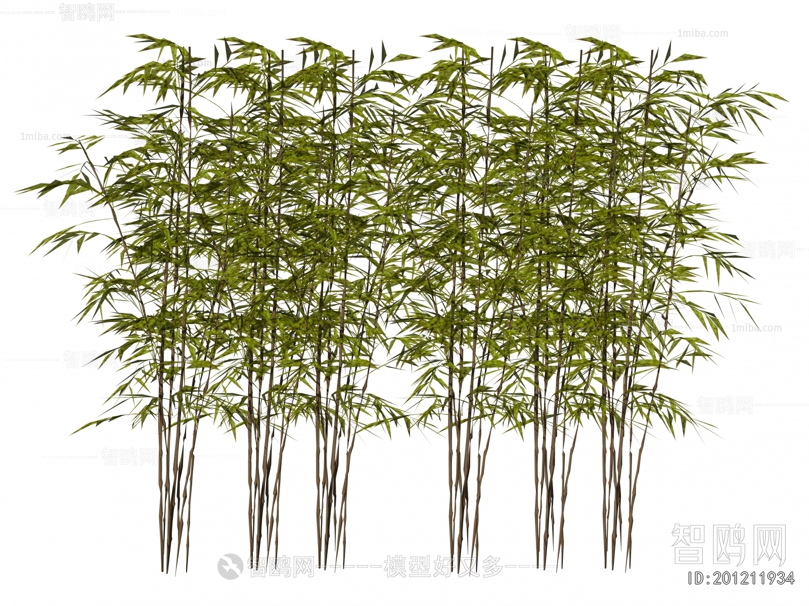 Modern Bamboo
