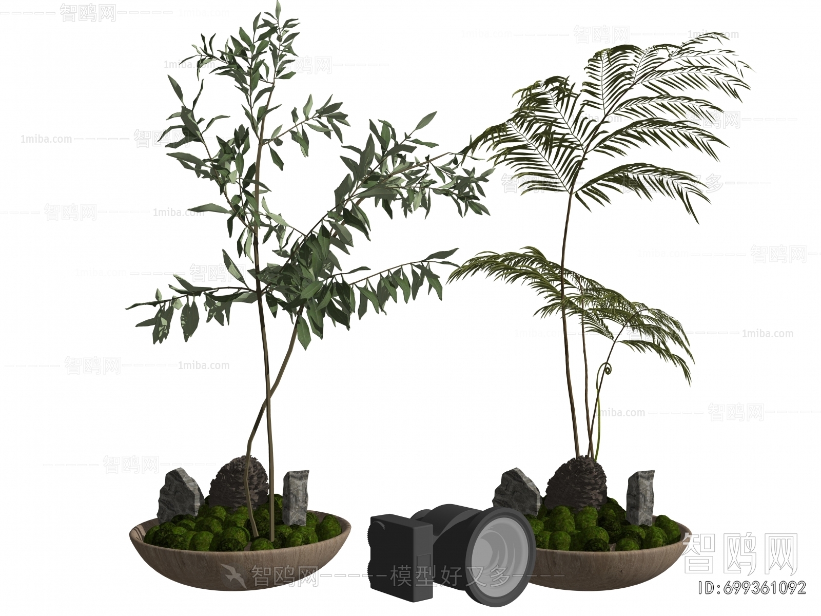 Wabi-sabi Style Bonsai