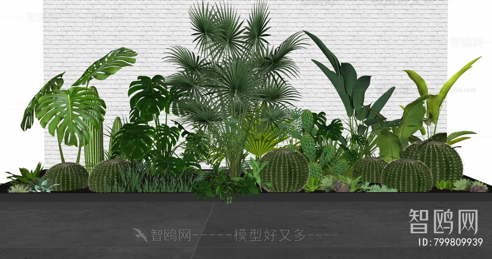 Modern Plant Landscaping