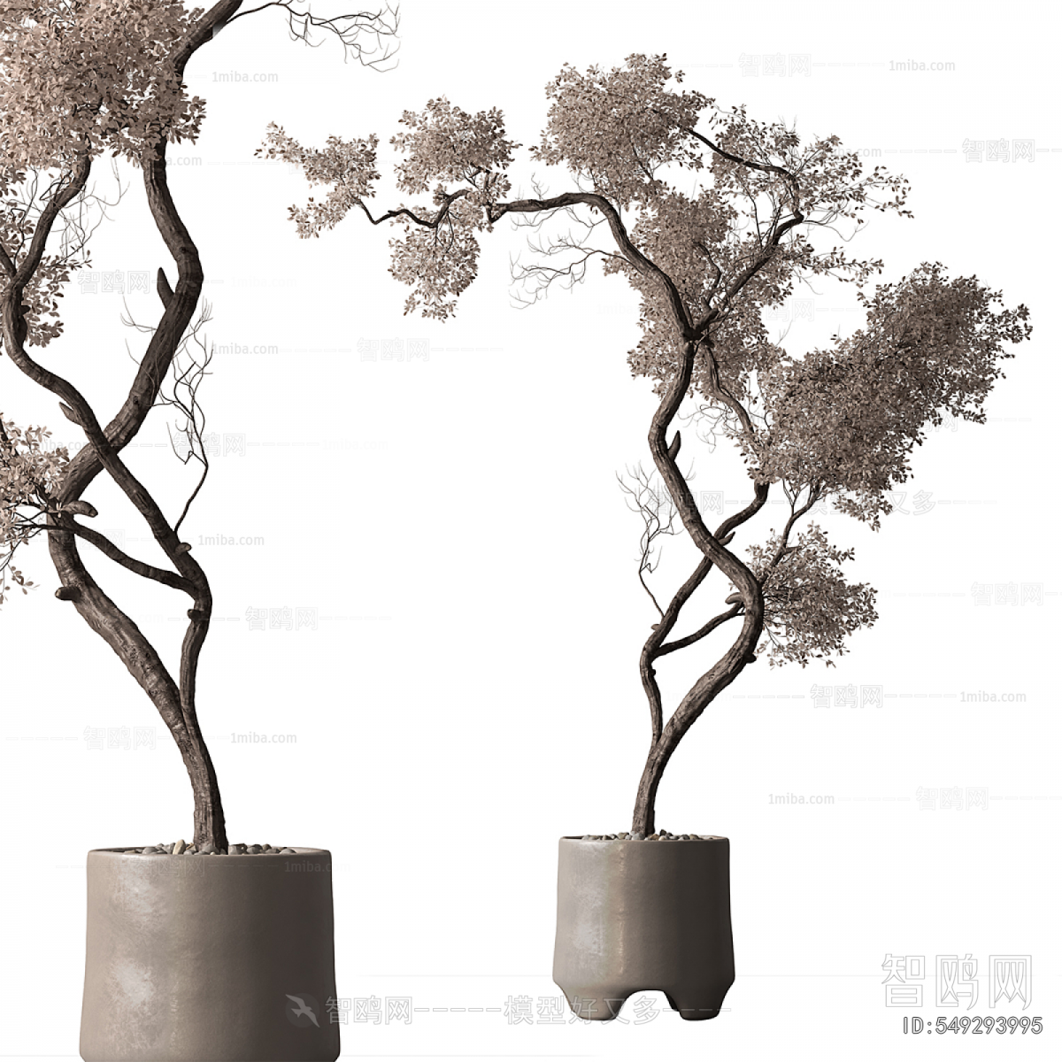 Modern Ground Green Plant Potted Plants