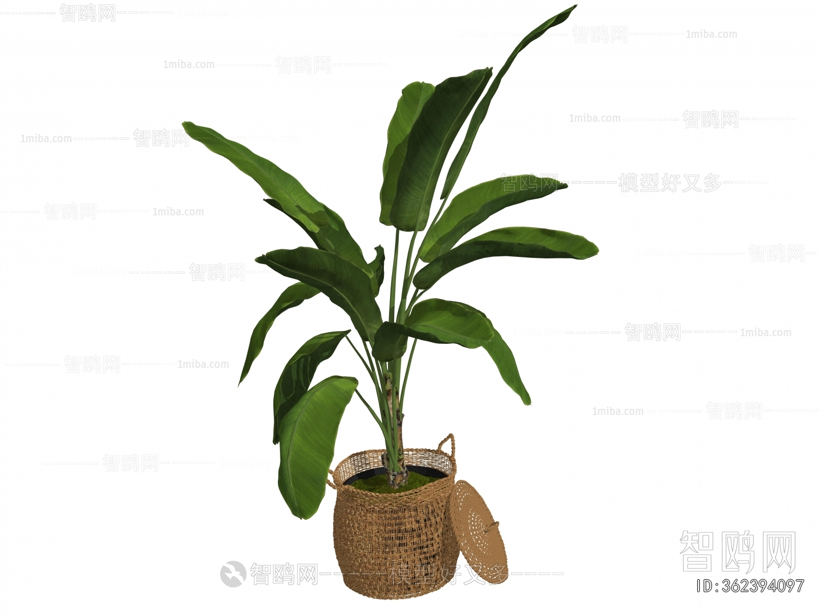Modern Ground Green Plant Potted Plants