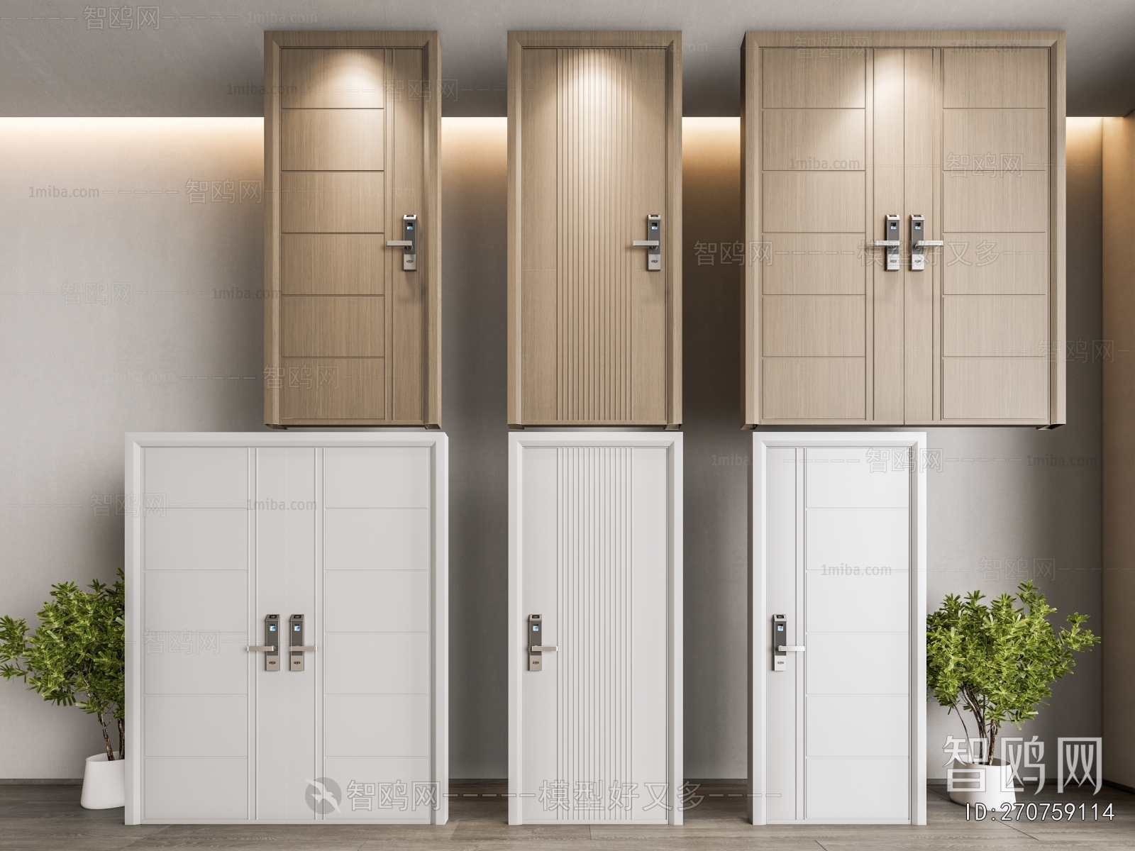 Modern Entrance Door