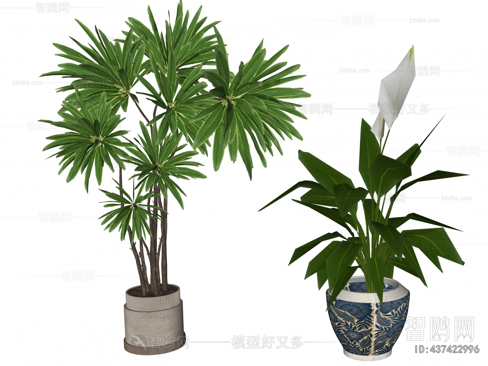 Modern Ground Green Plant Potted Plants