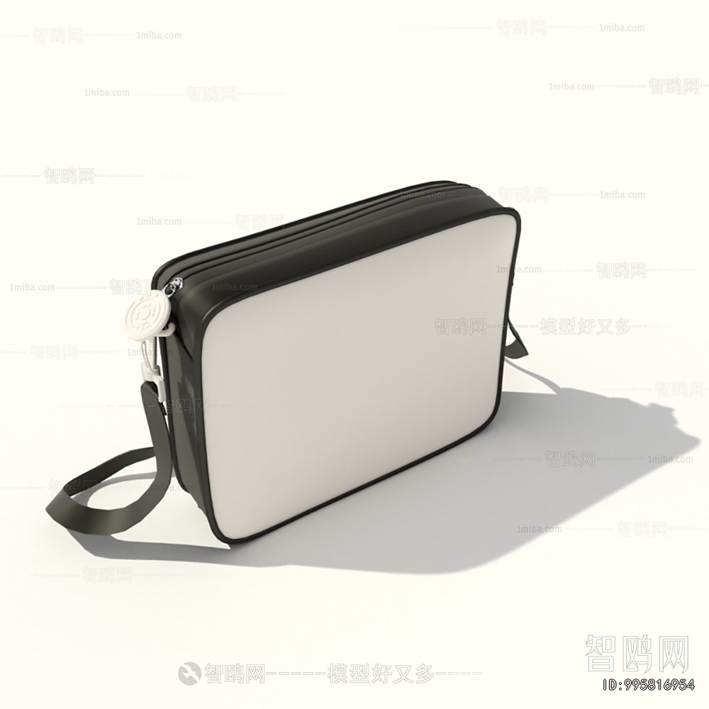 Modern Lady's Bag