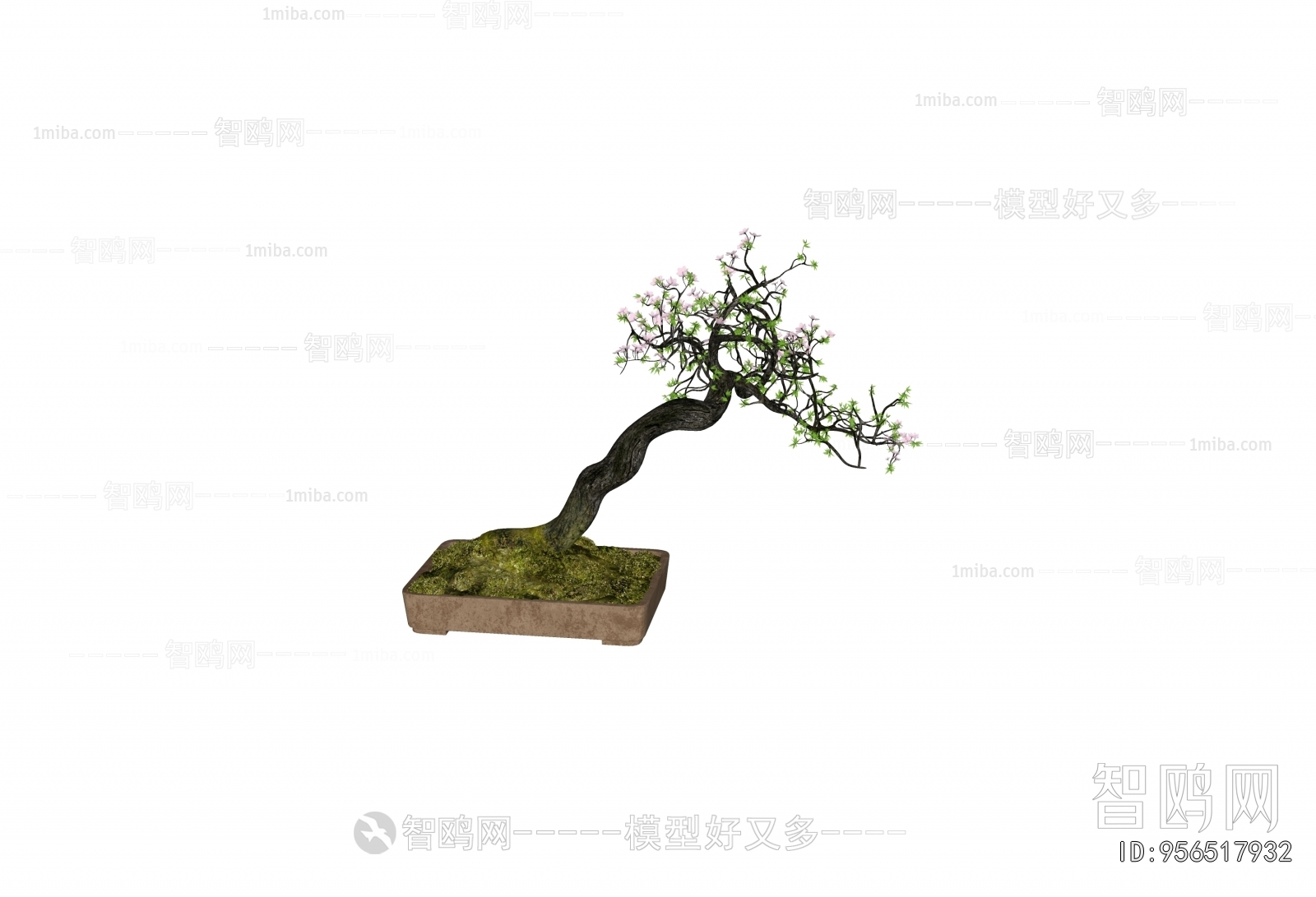 New Chinese Style Ground Green Plant Potted Plants