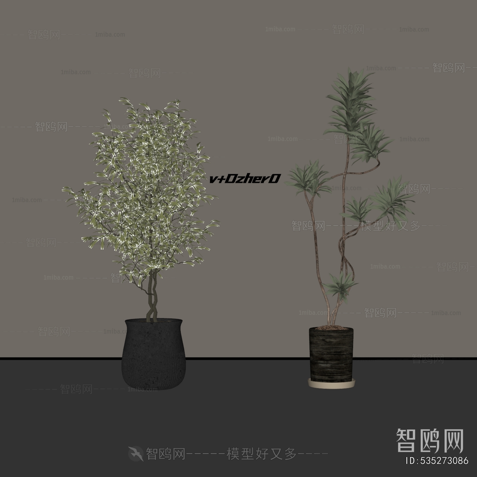 Modern Ground Green Plant Potted Plants