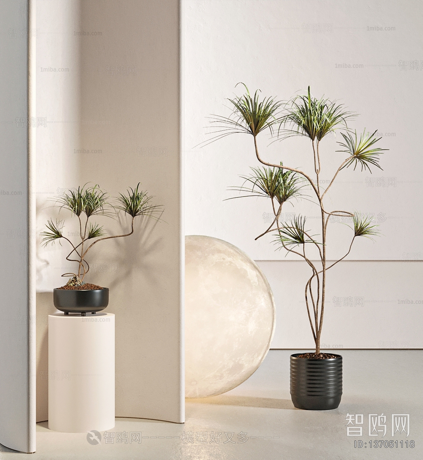 Modern Potted Green Plant